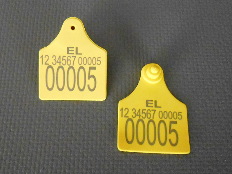 Φωτογραφία από Ενώτια Βοοειδών