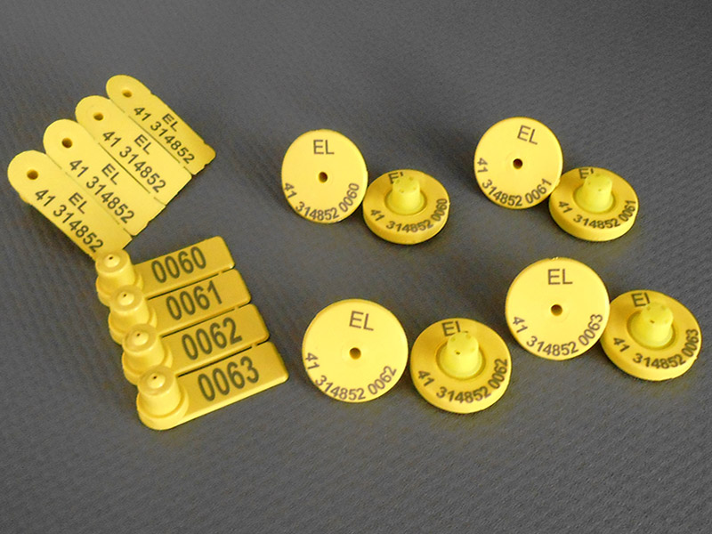 Φωτογραφία από Ηλεκτρονικά Ενώτια