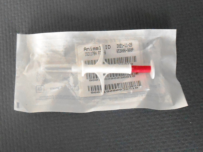 Φωτογραφία από Εμφύτευμα Αναγνώρισης Ζώων