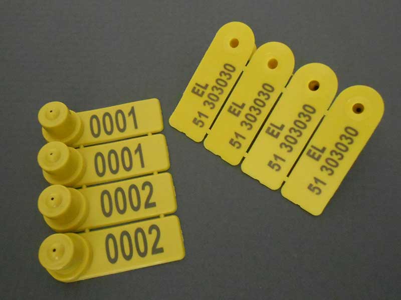 Φωτογραφία από Ενώτια Αιγοπροβάτων Τύπου 1 - Σχήμα Β