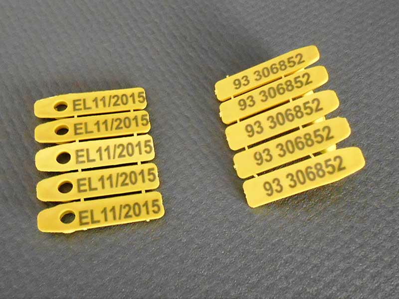 Φωτογραφία από Ενώτια Σφαγής Τύπου 2 - Τύπος Α