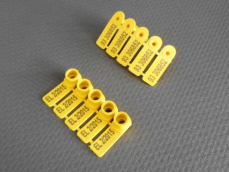 Φωτογραφία από Ενώτια Σφαγής Τύπου 2 - Τύπος Β